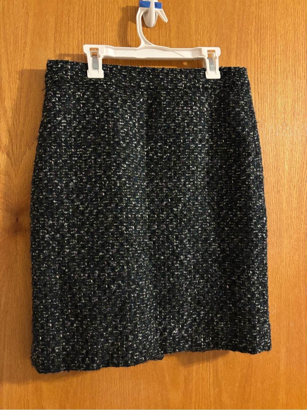 JCrew Skirt | Size 2